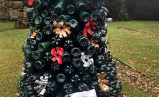 Uma suposta árvore feita integralmente com garrafas de plástico de tom verde escuro. No cimo tem uma estrela feita com tampas de garrafas pintadas em tom dourado. A árvore está colocada num jardim exterior. Ao fundo aparecem árvores e um muro.