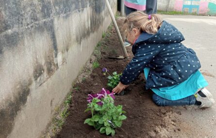 De joelhos uma criança está a mexer em terra e a plantar uma flor.