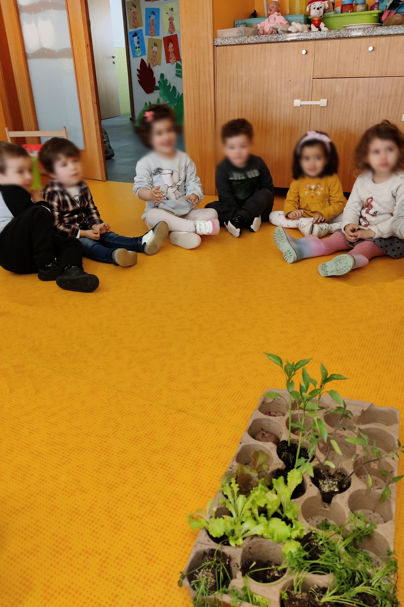 Seis crianças sentadas no chão de um espaço interior. No chão, de tons amarelo/laranja, estão algumas plantas. Todos os rostos das crianças aparecem desfocados.