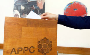 Em primeiro plano vê-se parcialmente a urna de voto normalmente usada pela APPC. Feita em madeira, nota-se a gravação da sigla APPC e vê-se o logótipo institucional. Uma mão coloca um papel dentro da urna de voto. Ao fundo, na parede, vê-se um quadro e uma peça artística.
