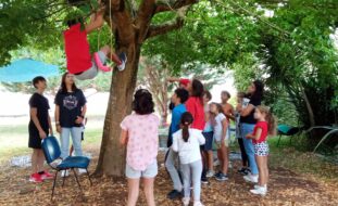 Grupo de mais de uma dezena de crianças e jovens a brincar em jardim exterior, junto de uma árvore. Uma delas está a trepar a árvore. Todos os rostos de crianças e jovens estão desfocados.