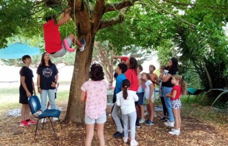 Grupo de mais de uma dezena de crianças e jovens a brincar em jardim exterior, junto de uma árvore. Uma delas está a trepar a árvore. Todos os rostos de crianças e jovens estão desfocados.