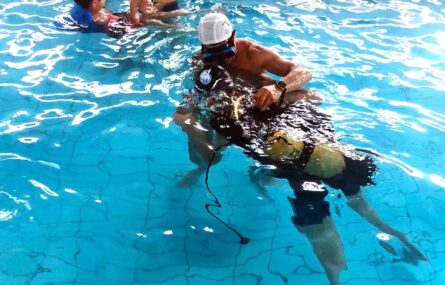 Seis pessoas dentro de uma piscina. Alguns mergulham e outros convivem.