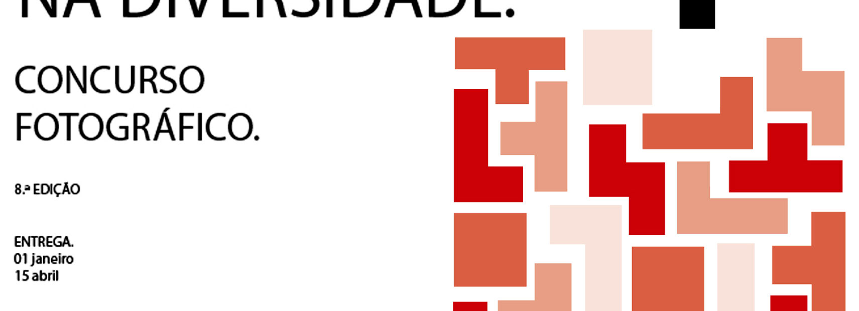 Cartaz do concurso de fotografia. À esquerda algumas das informações (já constantes na publicação). À direita, em vários tons roxo e rosa, peças de um puzzle que se tentam alinhar como em jogo de Tetris. Acima, a negro, imagem estilizada do que aparenta ser uma pessoa sentada.