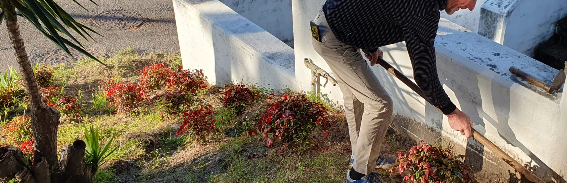 Pessoa a realizar a limpeza de um espaço ajardinado tendo nas mãos uma sachola.