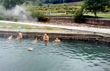 Grupo de cinco pessoas a tomar banho em local que aparenta ser uma piscina natural. Ao fundo arbustos, árvores e um acesso pedonal.