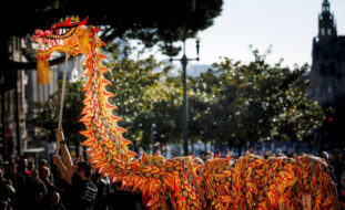 Fotografia de um dragão (típico das comemorações do Ano Novo Chinês) em tons laranja e amarelo. O dragão é elevado por várias pessoas. Ao fundo da imagem algumas árvores e pessoas na assistência.