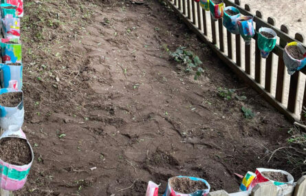 Espaço exterior parcialmente ajardinado e parcialmente preparado para horta caseira. O espaço da horta está delimitado por uma cerca na qual foram pendurados vários pequenos vasos com terra.