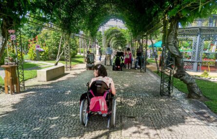 Cerca de uma dezena de pessoas, de costas, em percurso por carreiro exterior que está ladeado (e coberto) por limoeiros e limões.