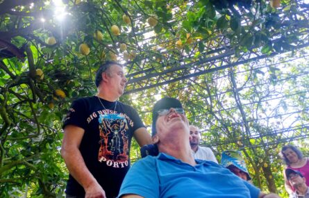 Algumas pessoas em visita e passeio por jardim exterior.