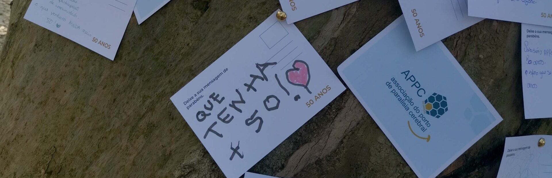 Cerca de vinte postais brancos, com mensagens diferentes, afixados no tronco de uma árvore.