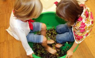 Duas crianças pisam uvas em bacia de plástico.