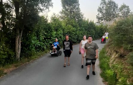 Seis pessoas em caminhada por uma pequena estrada ladeada por árvores e arbustos.